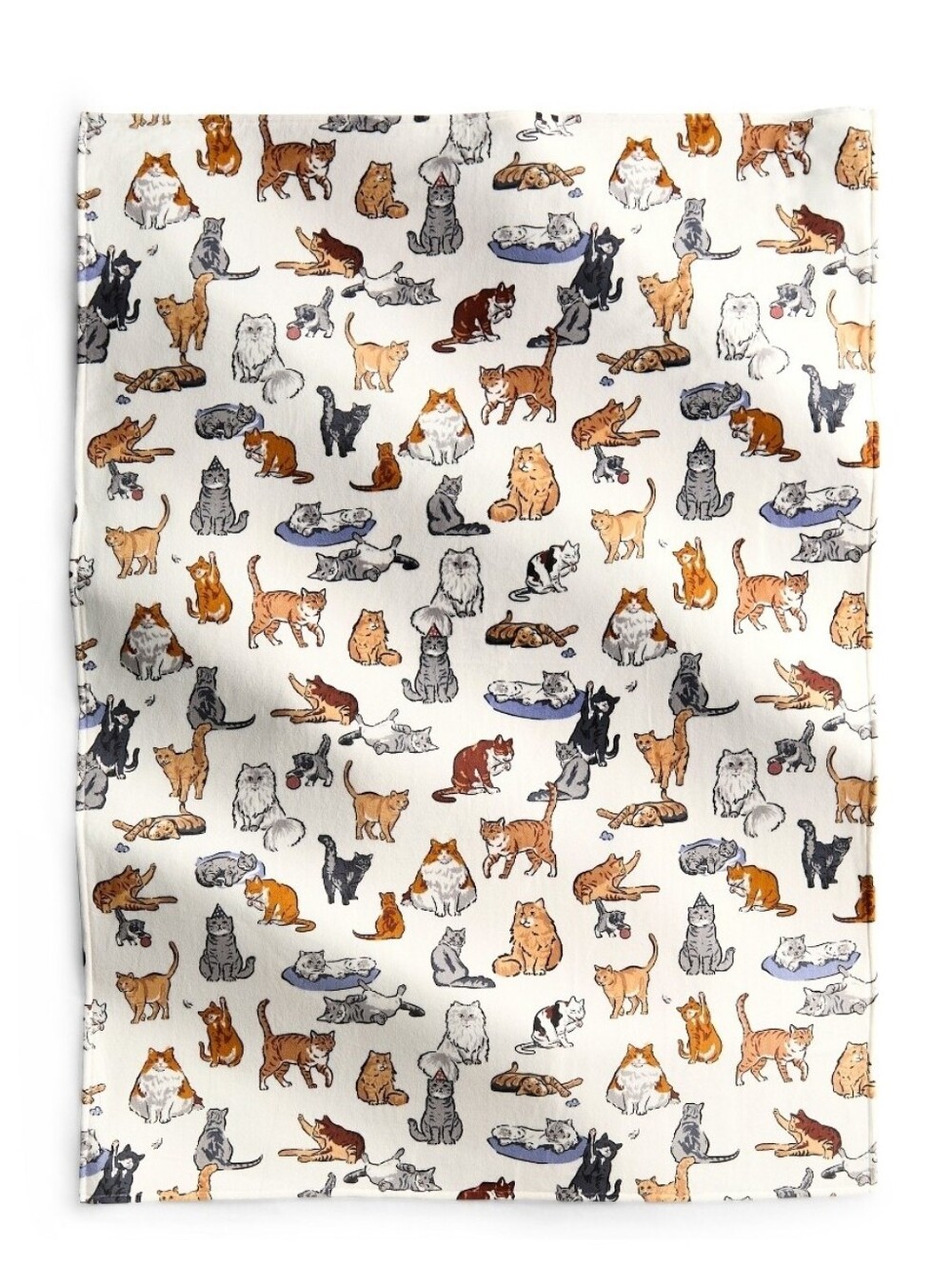 Vera Bradley A Cats Life Plush Throw New
